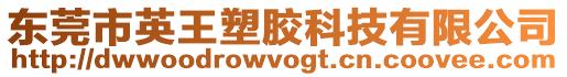 東莞市英王塑膠科技有限公司