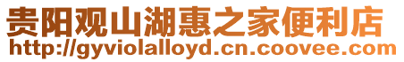 貴陽觀山湖惠之家便利店