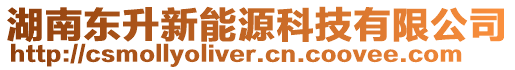 湖南東升新能源科技有限公司