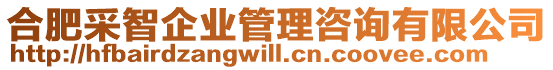 合肥采智企業(yè)管理咨詢有限公司