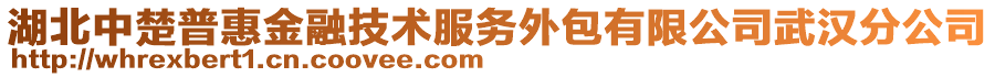 湖北中楚普惠金融技術(shù)服務(wù)外包有限公司武漢分公司