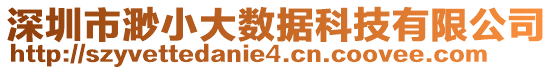 深圳市渺小大數(shù)據(jù)科技有限公司