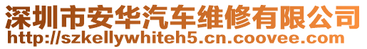 深圳市安華汽車維修有限公司