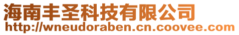 海南豐圣科技有限公司