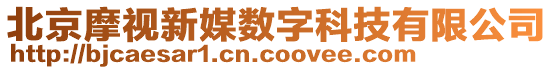 北京摩視新媒數(shù)字科技有限公司