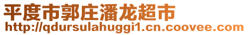 平度市郭莊潘龍超市