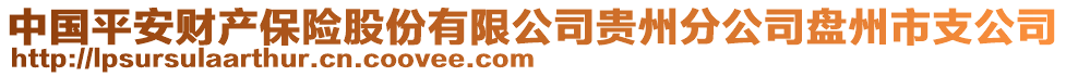 中國(guó)平安財(cái)產(chǎn)保險(xiǎn)股份有限公司貴州分公司盤州市支公司