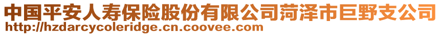 中國(guó)平安人壽保險(xiǎn)股份有限公司菏澤市巨野支公司