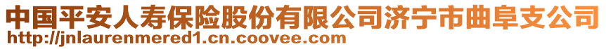 中國平安人壽保險股份有限公司濟寧市曲阜支公司