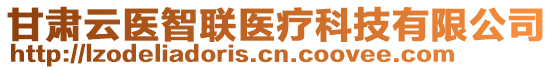 甘肅云醫(yī)智聯(lián)醫(yī)療科技有限公司