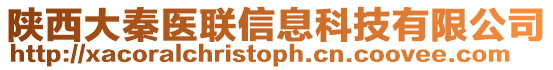 陜西大秦醫聯信息科技有限公司
