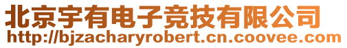 北京宇有電子競技有限公司