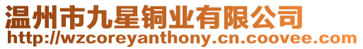 溫州市九星銅業有限公司