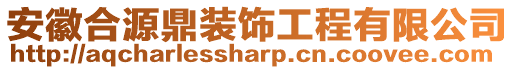 安徽合源鼎裝飾工程有限公司