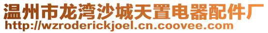 溫州市龍灣沙城天置電器配件廠