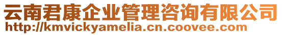 云南君康企業(yè)管理咨詢有限公司