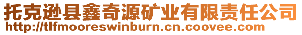 托克遜縣鑫奇源礦業(yè)有限責(zé)任公司