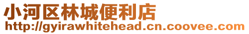 小河區(qū)林城便利店