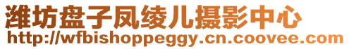 濰坊盤子鳳綾兒攝影中心