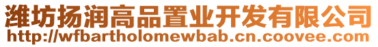 濰坊揚潤高品置業開發有限公司