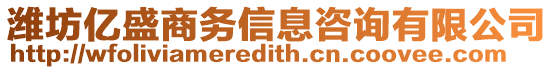 濰坊億盛商務信息咨詢有限公司