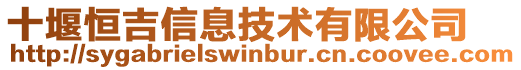 十堰恒吉信息技術有限公司