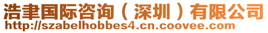浩聿國際咨詢（深圳）有限公司