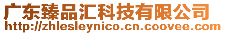 廣東臻品匯科技有限公司