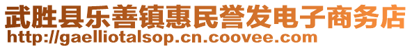 武胜县乐善镇惠民誉发电子商务店