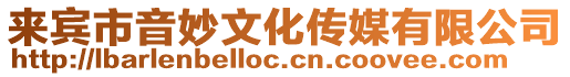 來賓市音妙文化傳媒有限公司