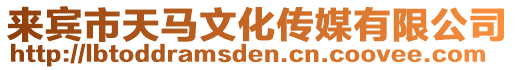 來賓市天馬文化傳媒有限公司