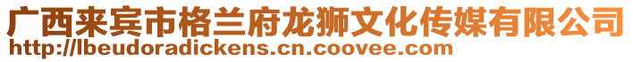 廣西來賓市格蘭府龍獅文化傳媒有限公司