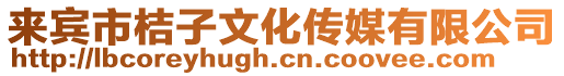 來賓市桔子文化傳媒有限公司