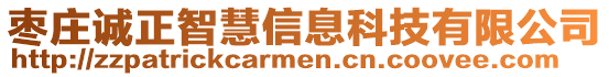 棗莊誠正智慧信息科技有限公司