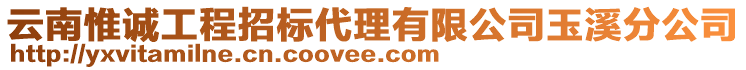 云南惟誠(chéng)工程招標(biāo)代理有限公司玉溪分公司