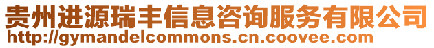 貴州進源瑞豐信息咨詢服務有限公司