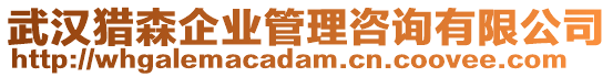 武漢獵森企業(yè)管理咨詢(xún)有限公司