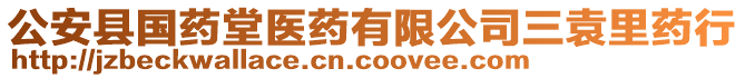 公安縣國(guó)藥堂醫(yī)藥有限公司三袁里藥行