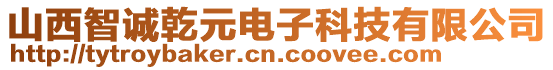 山西智誠(chéng)乾元電子科技有限公司