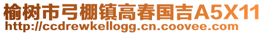榆樹(shù)市弓棚鎮(zhèn)高春國(guó)吉A5X11