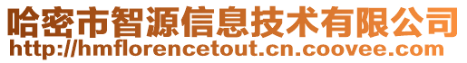哈密市智源信息技術(shù)有限公司