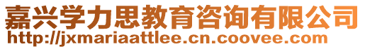 嘉興學力思教育咨詢有限公司
