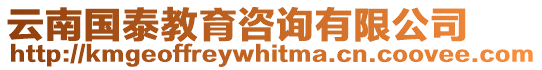 云南國泰教育咨詢有限公司