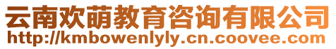 云南歡萌教育咨詢有限公司