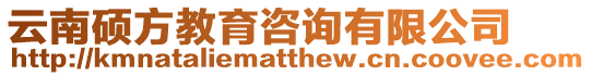 云南碩方教育咨詢有限公司