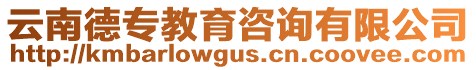 云南德专教育咨询有限公司