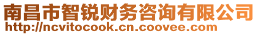 南昌市智銳財(cái)務(wù)咨詢有限公司