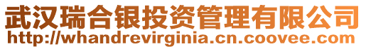 武漢瑞合銀投資管理有限公司