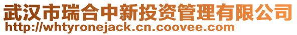 武漢市瑞合中新投資管理有限公司