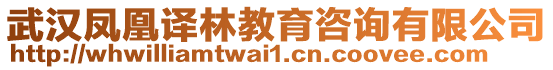 武漢鳳凰譯林教育咨詢有限公司